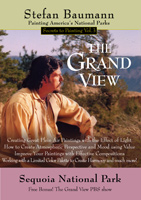 Stefan Baumann painiting on location Sequoia National Park